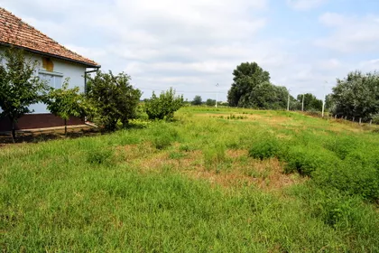 Bački Vinogradi | 4zida.rs