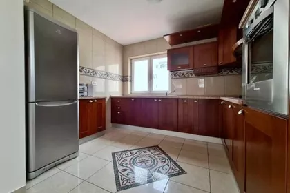 Sibinjanin Janka | 4zida.rs
