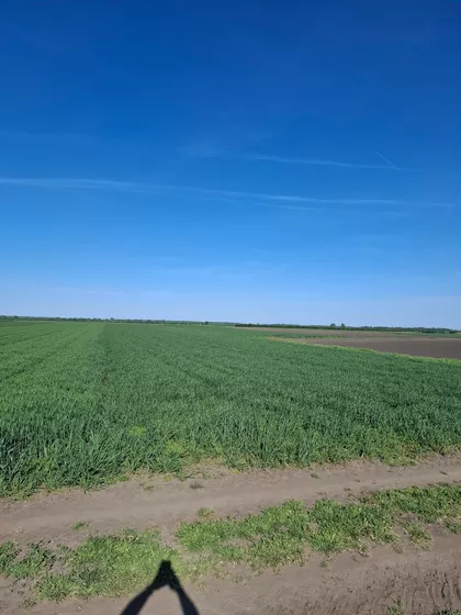 Ovča | 4zida.rs