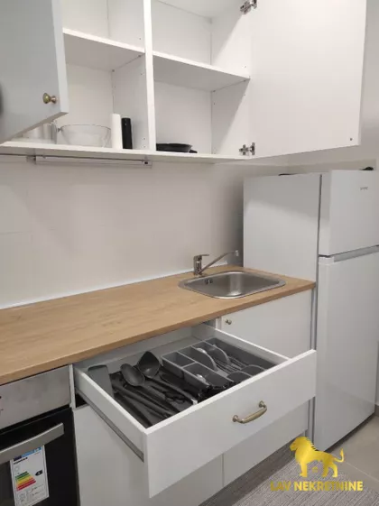 JERNEJA KOPITARA | 4zida.rs