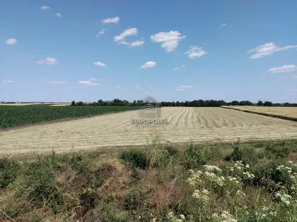 Krnješevci | 4zida.rs