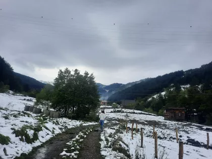 Meljanička | 4zida.rs