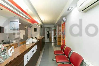 Kneginje Zorke | 4zida.rs