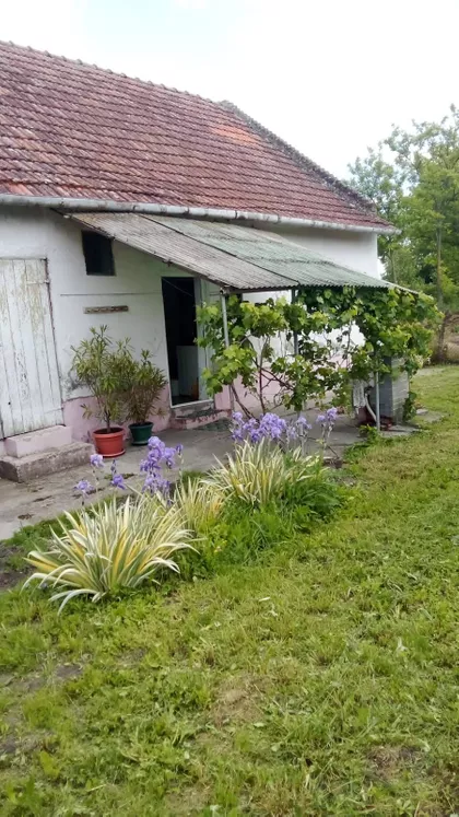 Jermenovci | 4zida.rs