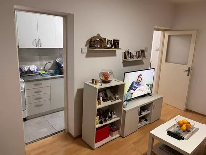 Božidar Adžija | 4zida.rs