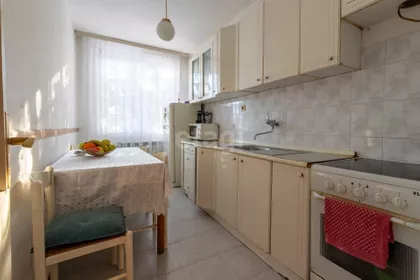 Salvadora Aljendea | 4zida.rs