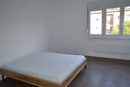 Ljubomira Stojanovića | 4zida.rs