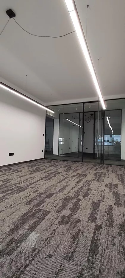 Dragoslava Srejovića | 4zida.rs