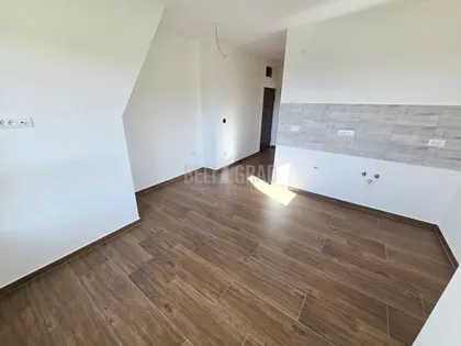 Belog narcisa | 4zida.rs