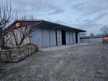 Svetozar Miletić | 4zida.rs