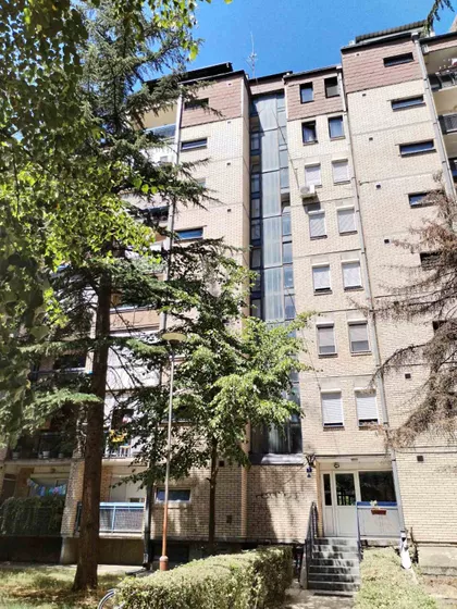 Danice Marković | 4zida.rs