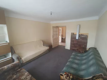 Pačir | 4zida.rs