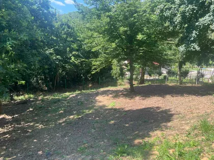Zmajevački Put bb | 4zida.rs