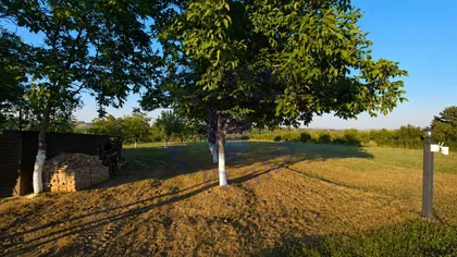 Krušedol Selo | 4zida.rs