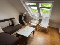 Novi Sad - Centar, Stari Grad, Gradske lokacije, Novi Sad | 4zida.rs | 4zida.rs