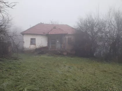 Zmaj Jovina | 4zida.rs