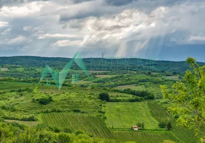 Čortanovci | 4zida.rs