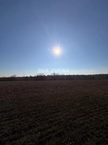 Čortanovci | 4zida.rs