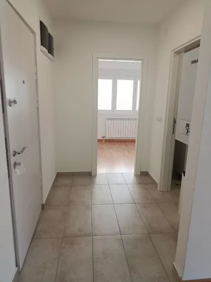 Miodraga Petrovića Čkalje | 4zida.rs