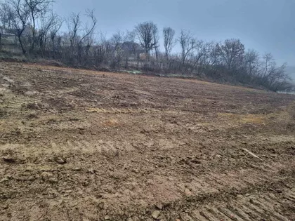 Sonje Marinković | 4zida.rs