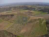 Čerat, Okolne lokacije, Sremski Karlovci | 4zida.rs