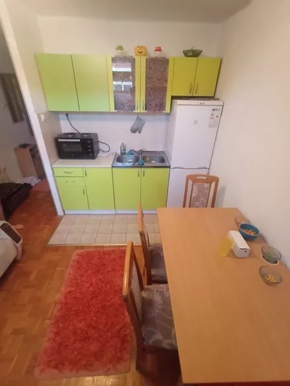 Dr Svetislava Kasapinovića | 4zida.rs