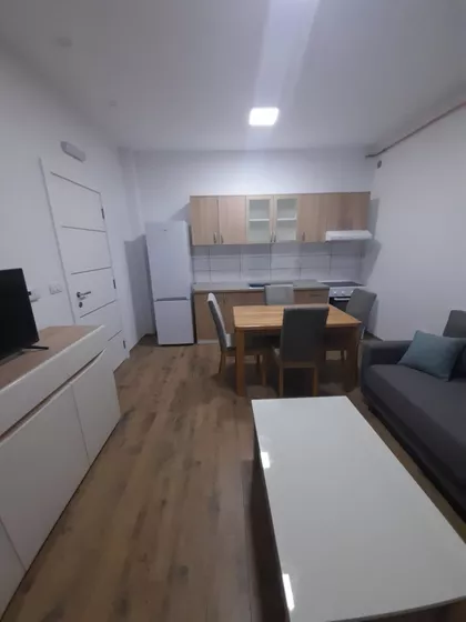 Luja Pastera | 4zida.rs