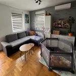 Novi Sad, Gradske lokacije, Telep, Bulevar Patrijarha Pavla (Somborski Bulevar) | 4zida.rs | 4zida.rs