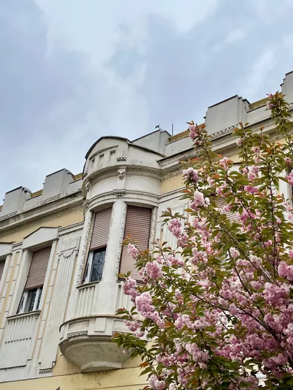 Žitna Pijaca | 4zida.rs