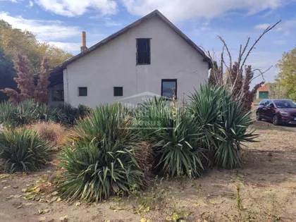 Hajdukovo | 4zida.rs