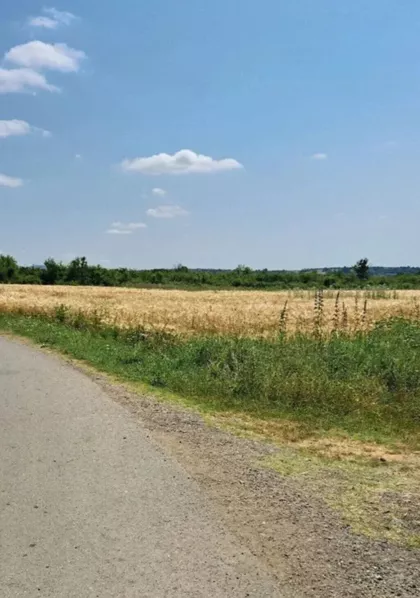 Deonice 5 | 4zida.rs