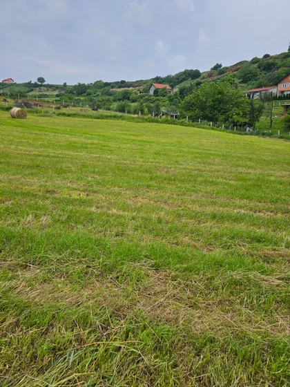 Bukovac | 4zida.rs
