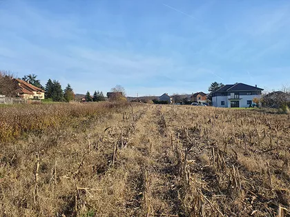 Put Za Markoviće | 4zida.rs