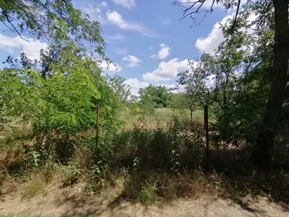 Srpski Šor | 4zida.rs