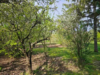 Stanka Opsenice 54A | 4zida.rs