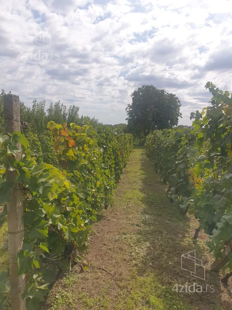 Poljoprivredno zemljište | 4zida