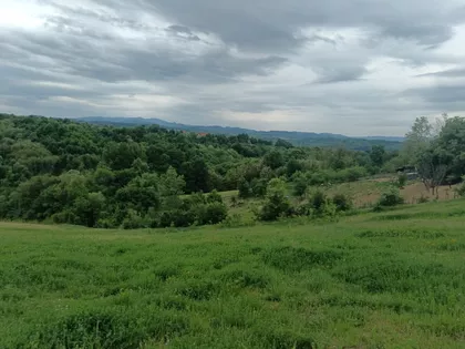 Barzilovica | 4zida.rs