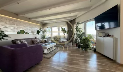 Petrovaradin | 4zida.rs