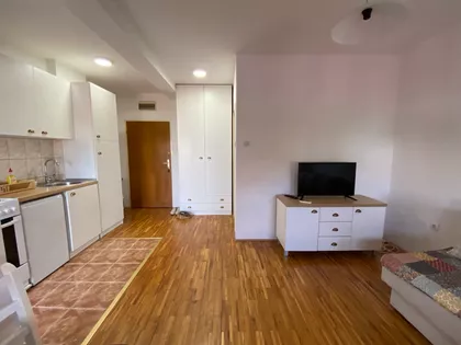 Dr Svetislava Kasapinovića | 4zida.rs