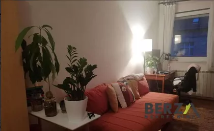Novi Sad - Centar | 4zida.rs