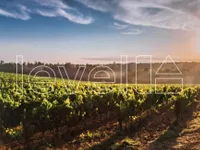 Banoštor, Okolne lokacije, Beočin | 4zida.rs