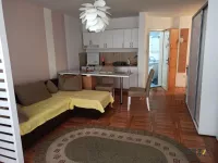 Novi Sad - Centar, Stari Grad, Gradske lokacije, Novi Sad | 4zida.rs | 4zida.rs