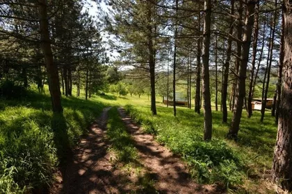 Kokin brod | 4zida.rs