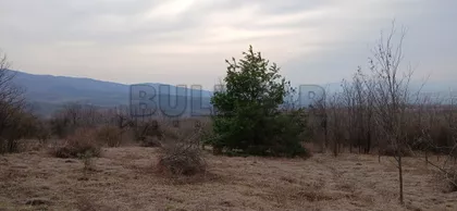 Donje Vlase | 4zida.rs