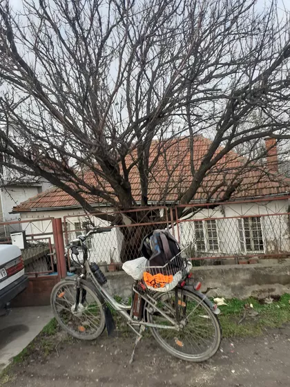 Njegoševa | 4zida.rs