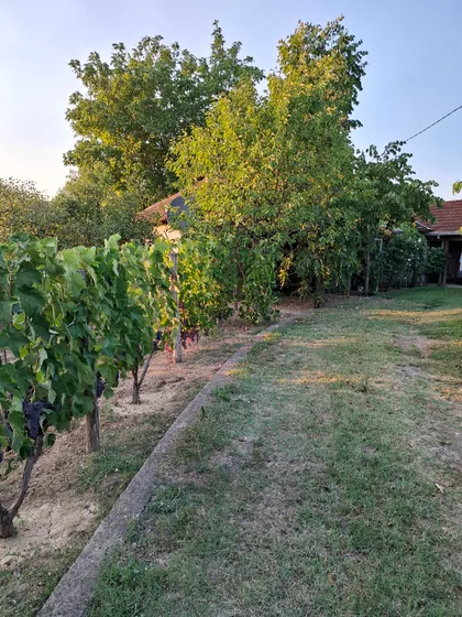 Sebečevac | 4zida.rs