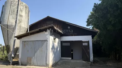 Uče Zekovića | 4zida.rs