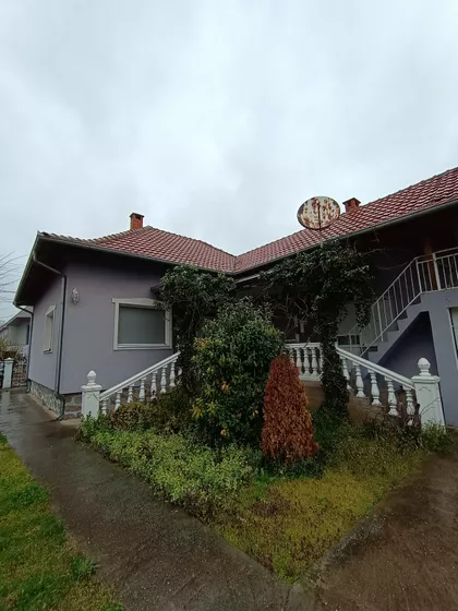 Petra Drapšina | 4zida.rs