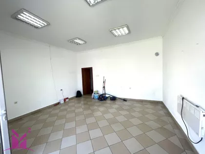 Salajka | 4zida.rs
