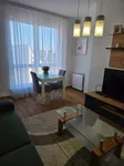 Bulevar Oslobođenja, Gradske lokacije, Novi Sad | 4zida.rs | 4zida.rs